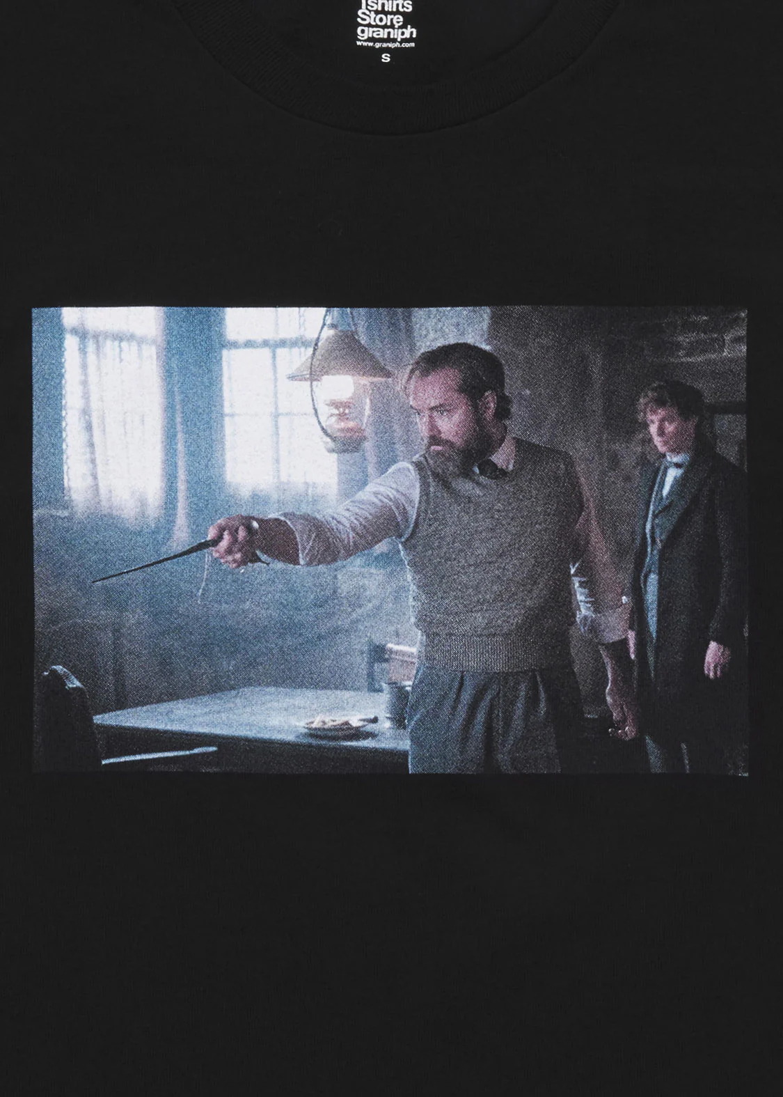 Fantastic Beasts_Dumbledore and Newt - Image 9