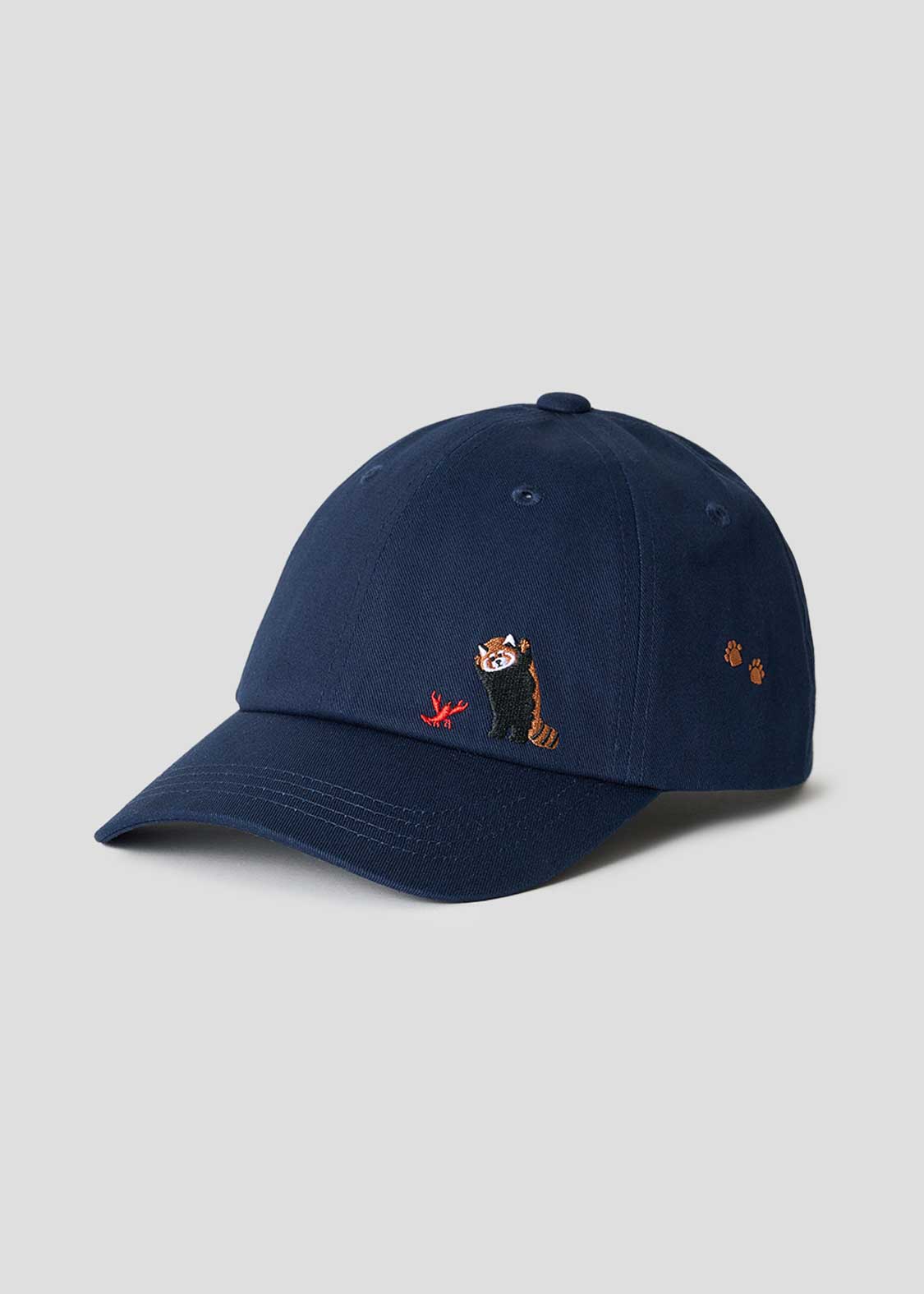 Ikaku B | Cap