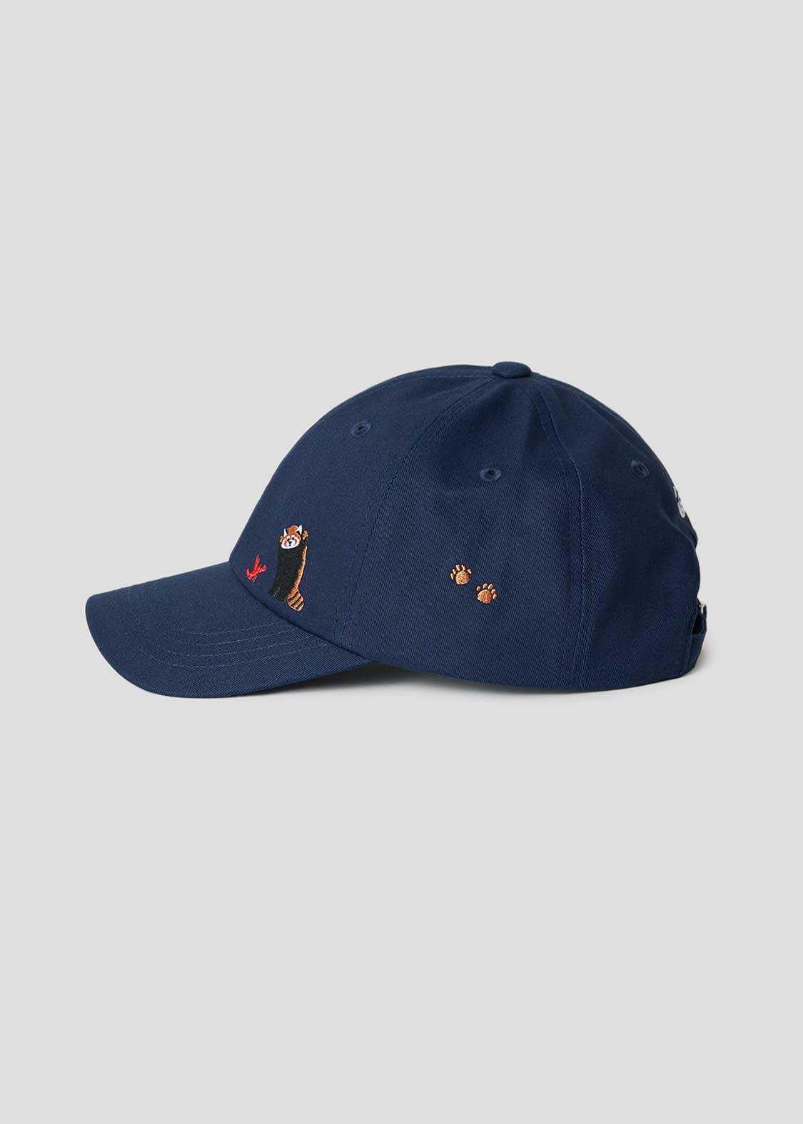 Ikaku B | Cap - Image 2