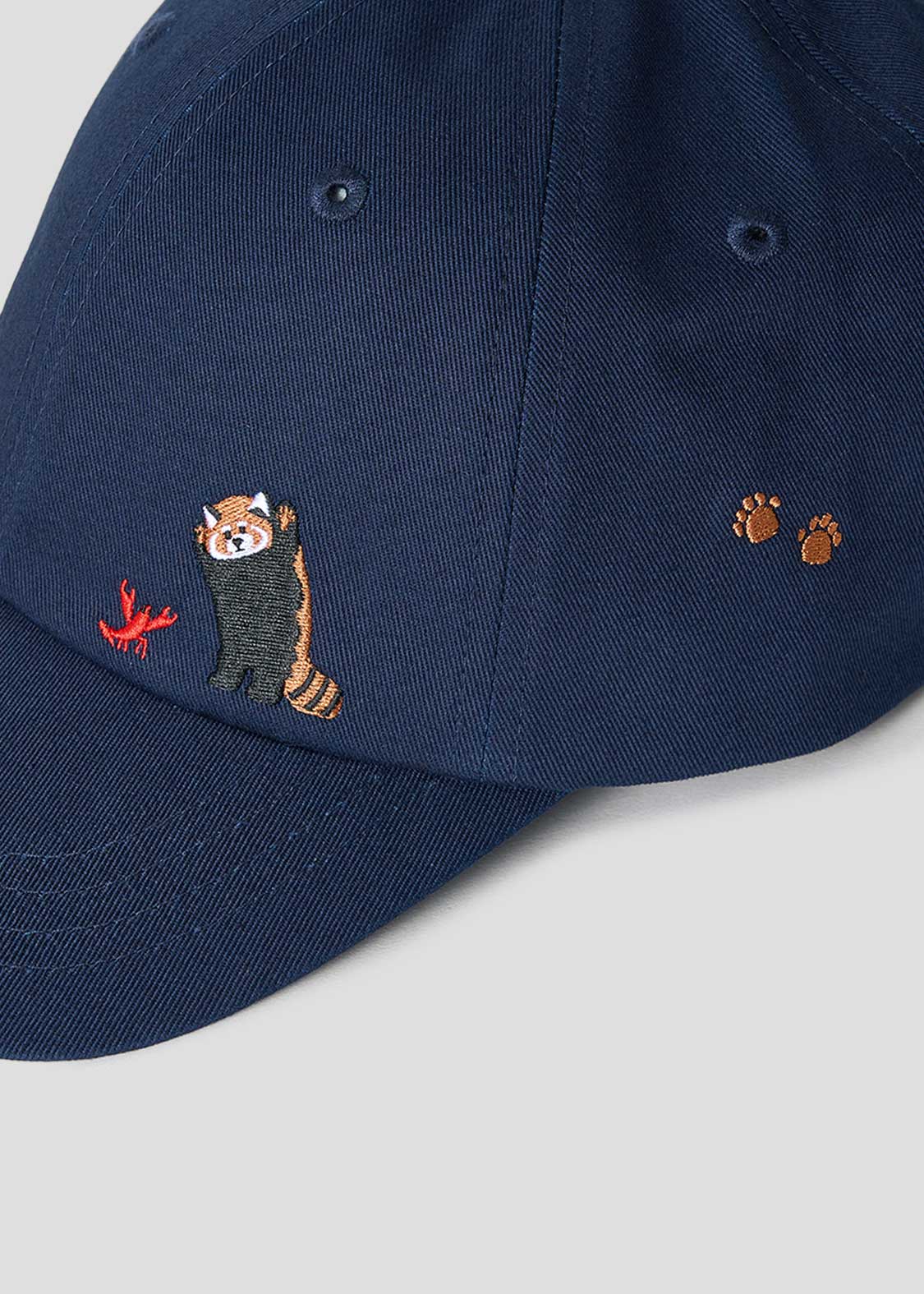 Ikaku B | Cap - Image 4